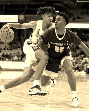 Le Moyne Dolphins Basketball