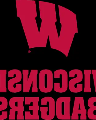 Wisconsin Badgers